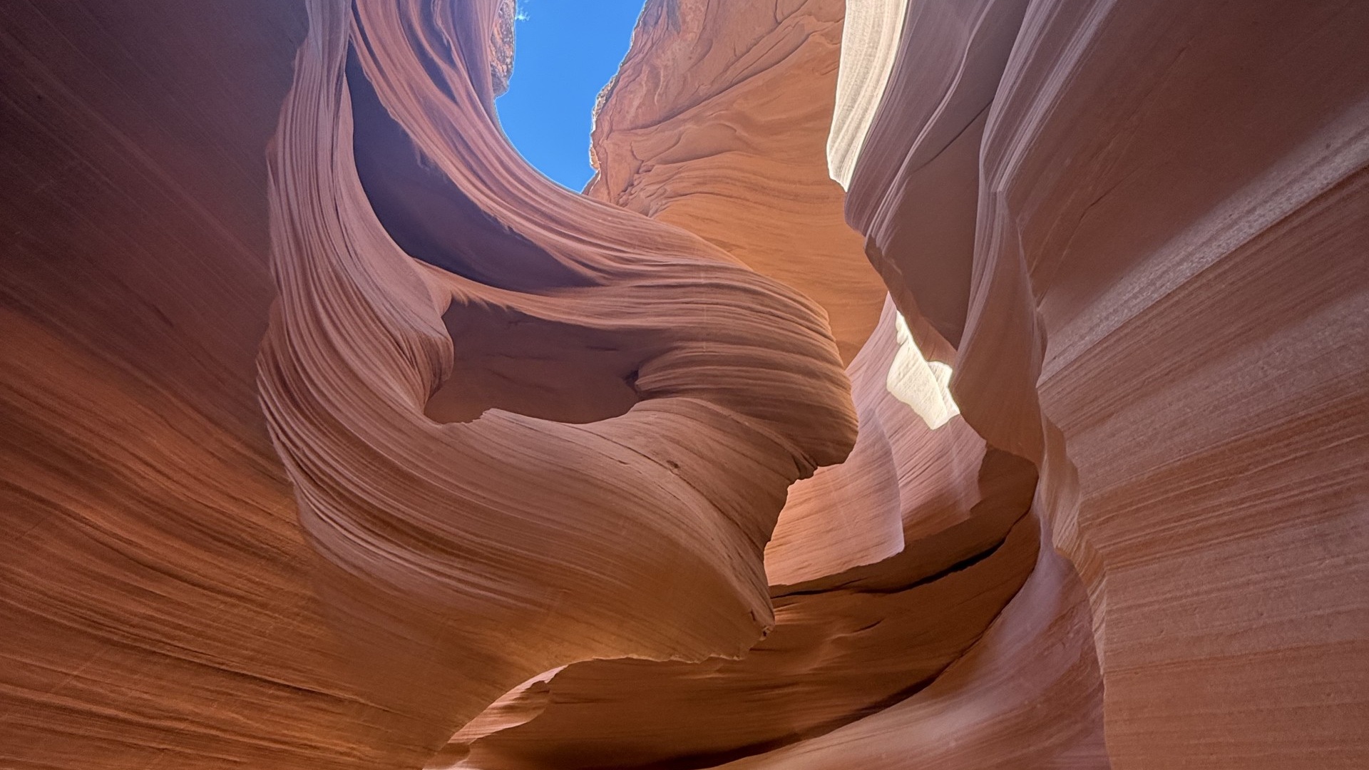 Sunlight and blue sky above flowing canyon walls